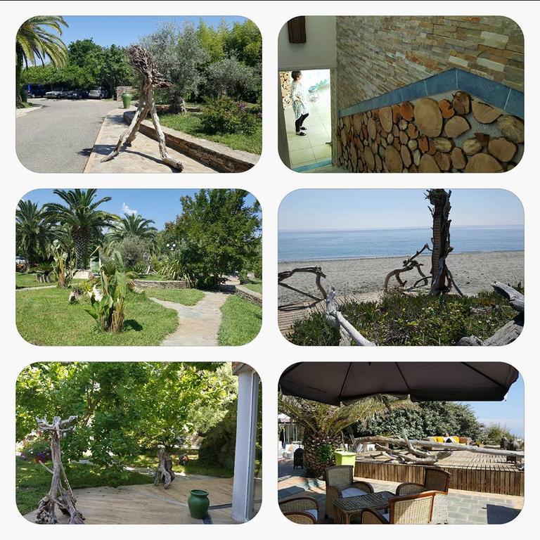 Levolle Marine Hotel Poggio Mezzana Buitenkant foto